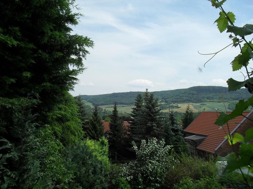 Ferienwohnung Bergblick Jena Bilik gambar